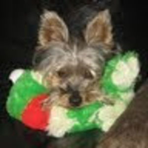 Meet your Posher, Gaiane